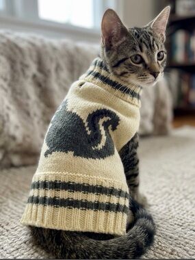 Cream and Black Squirrel little cat Sweater
